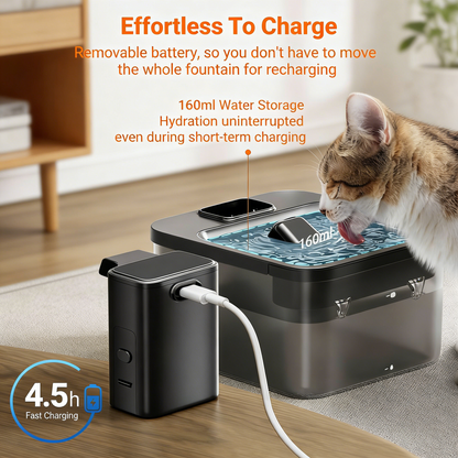 Cordless Cat Water Fountain, 2.5L with Motion Sensor